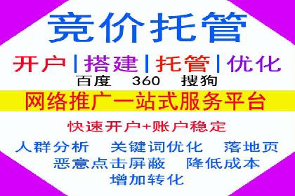 某旅游网站SEM优化案例：如何吸引目标用户